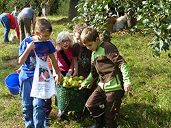 Schulkinder schleppen einen Korb mit Äpfeln